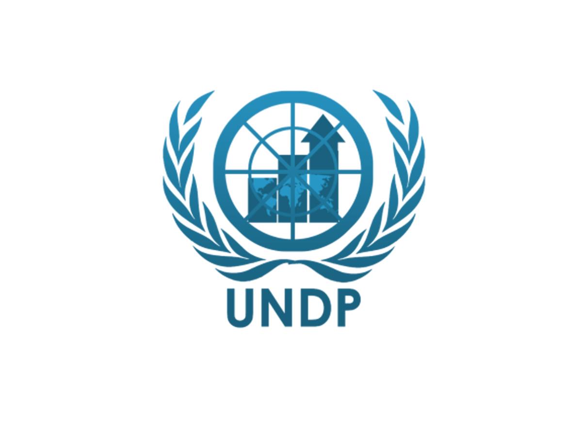 UNDP Birleşmiş Milletler Kalkınma Programı